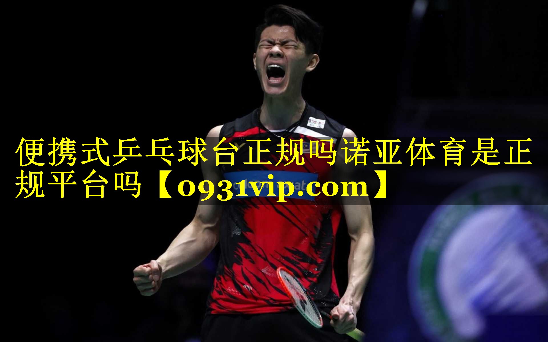 便携式乒乓球台正规吗诺亚体育是正规平台吗