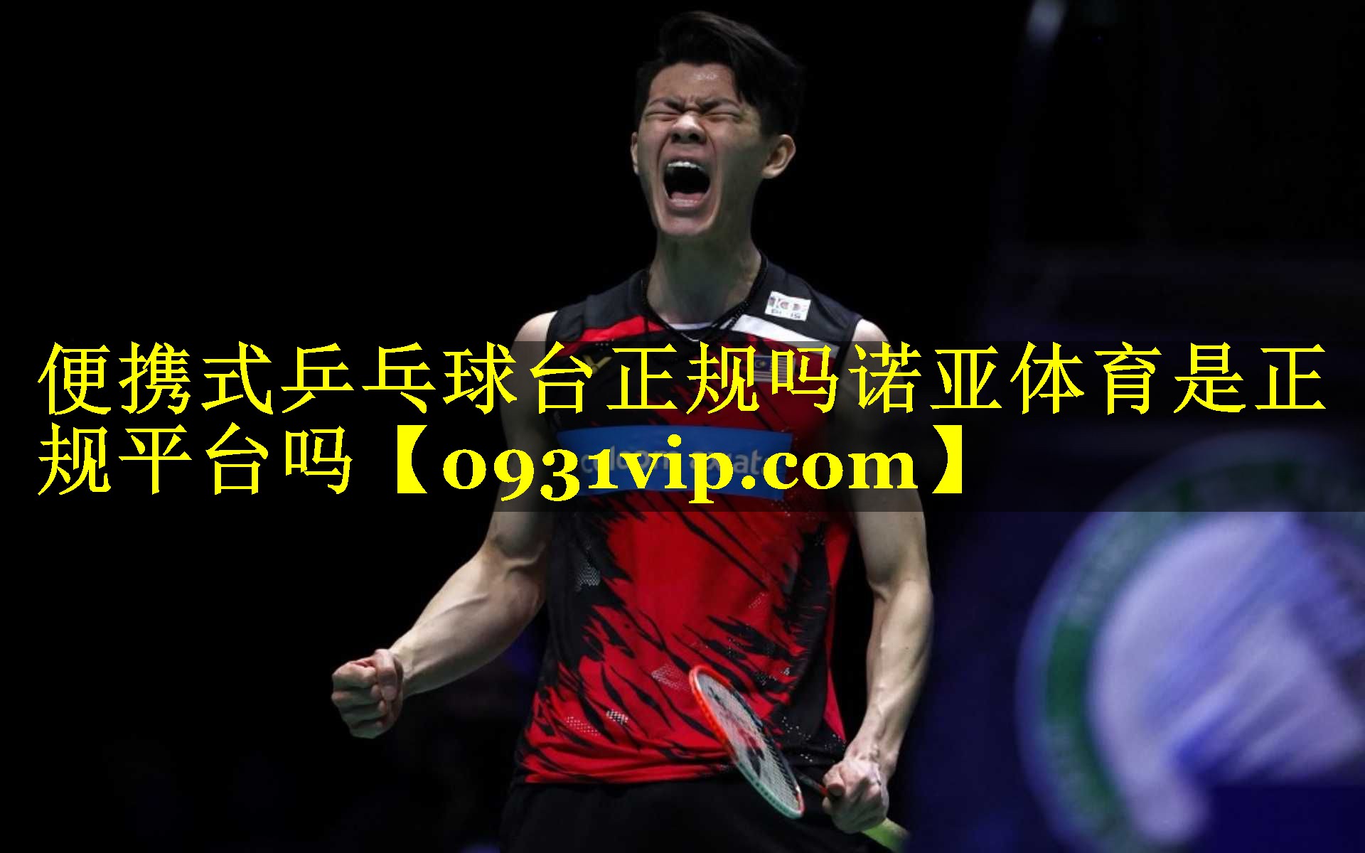 便携式乒乓球台正规吗诺亚体育是正规平台吗