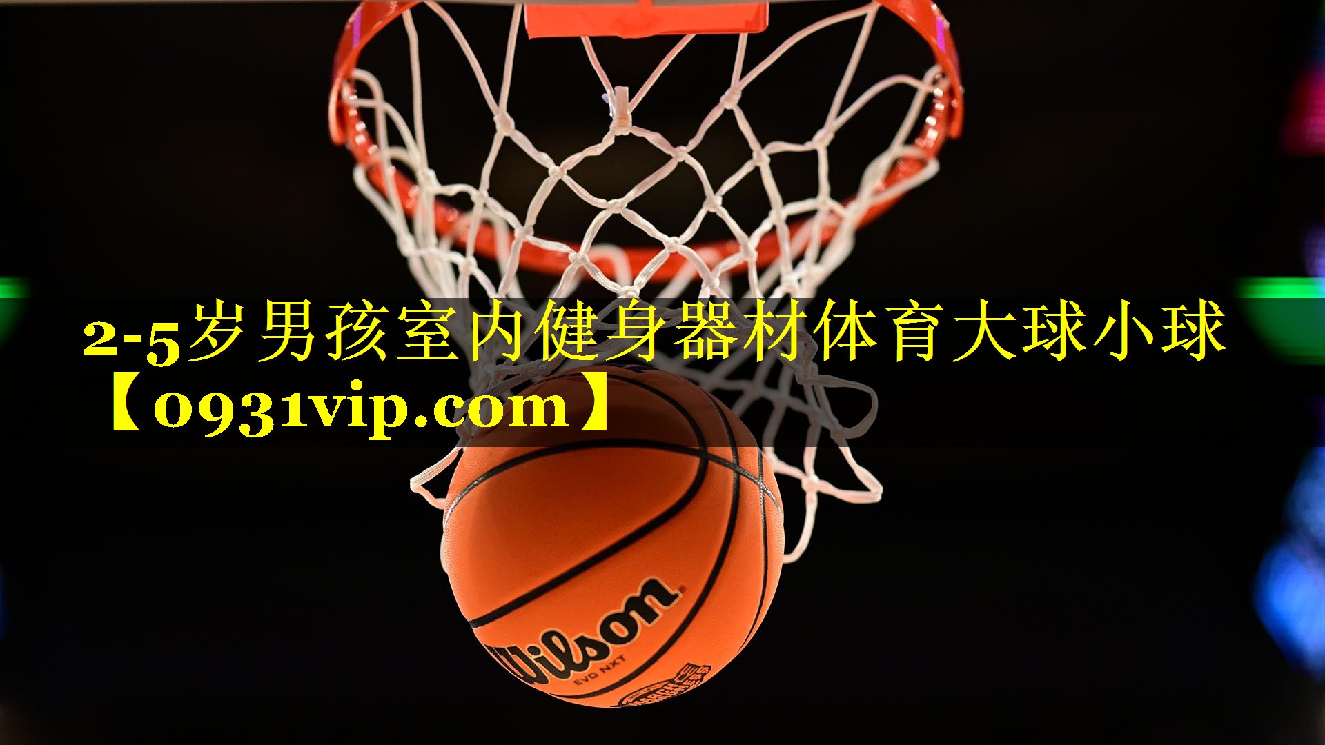 2-5岁男孩室内健身器材体育大球小球