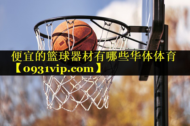 便宜的篮球器材有哪些华体体育